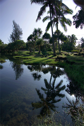 Beach Pools Hilo