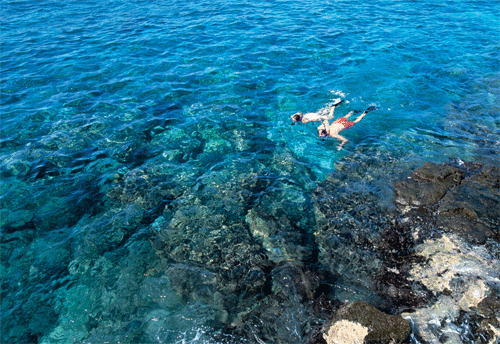 Couple Snorkeling