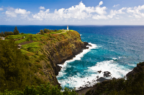 Kilauea Point