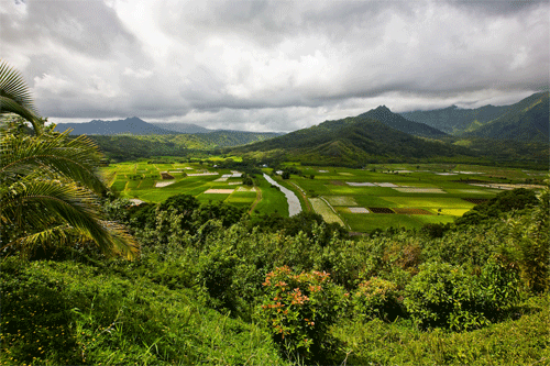 Hanalei Valley