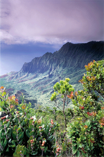 Kalalau Lookout