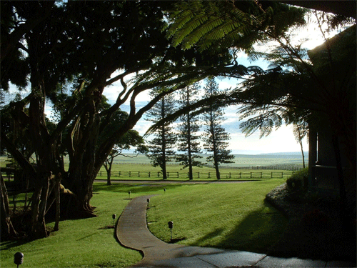 Shadows On Walkway