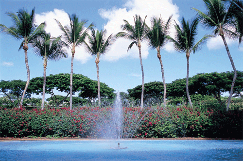 Entrance At Manele Bay Hotel