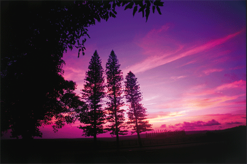 Sunset Lanai City