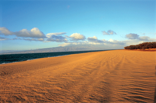 Polihua Beach