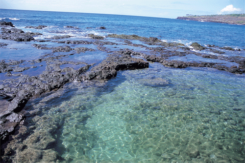 Hulopoe Beach Park