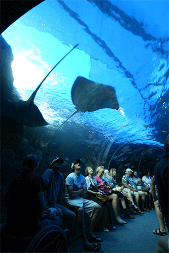 Tunnel of the open ocean