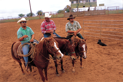 Paniolo On Horseback