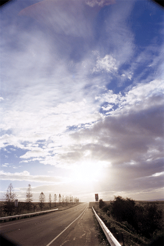 Deserted Sunny Highway