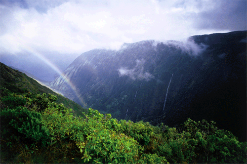 Halawa Valley