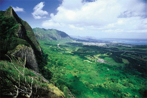 Pali Lookout