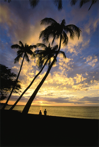 Sunset On The Beach