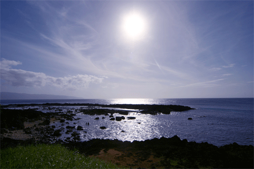 Sharks Cove North Shore